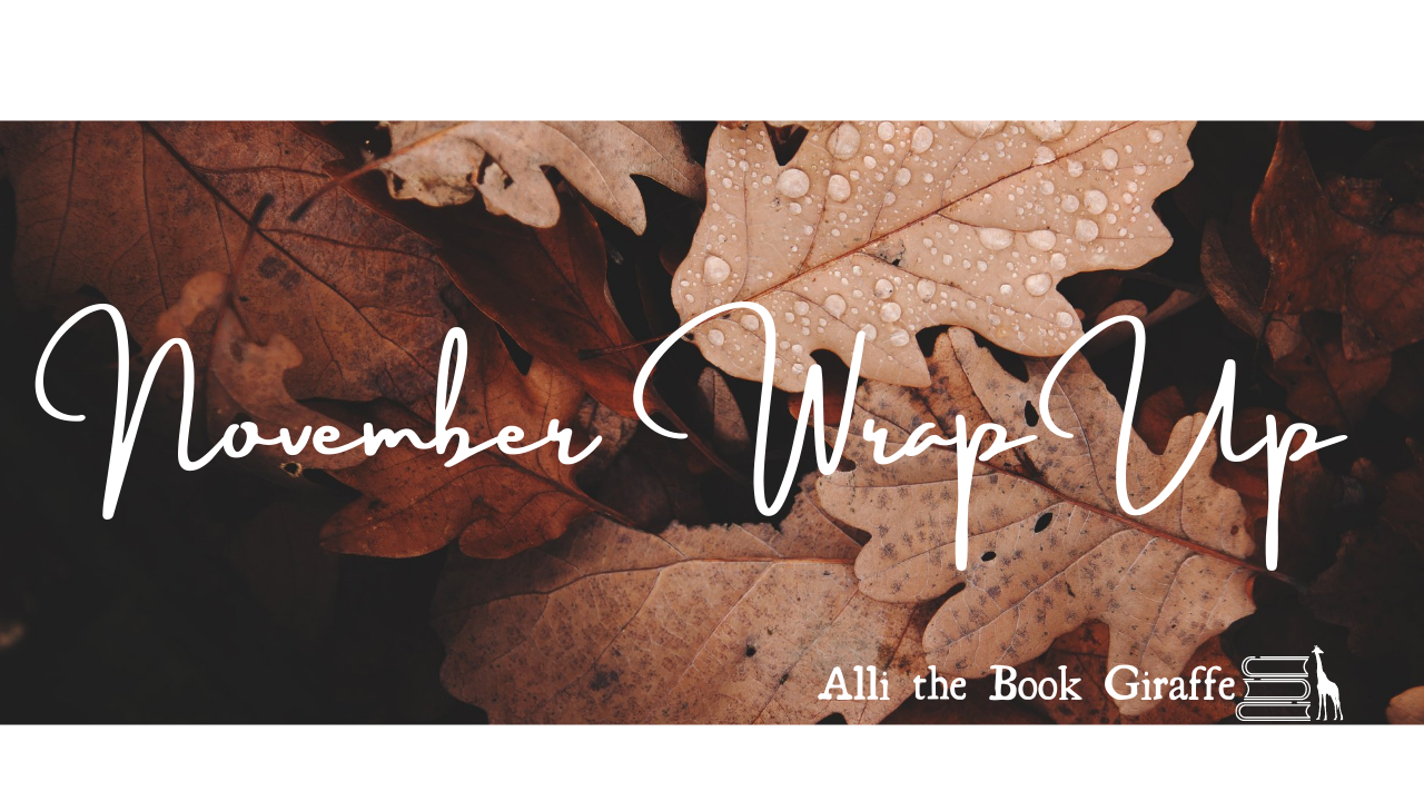November Wrap Up