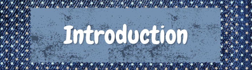 Meet the Book Blogger Tag Introduction